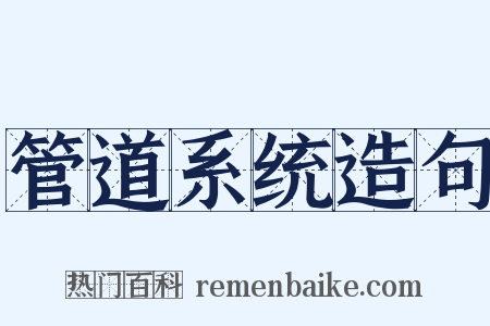 管道系统造句是什么意思的图片